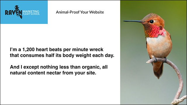 Hummingbird Quote
