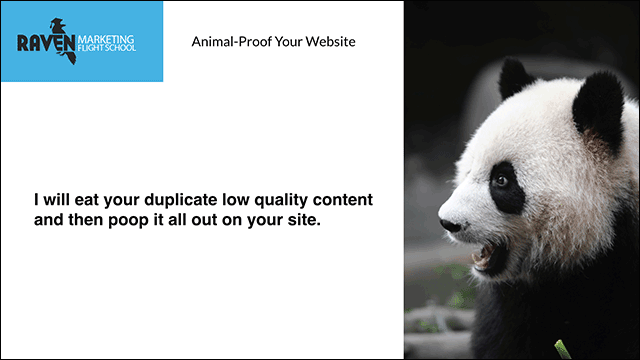 Panda Quote
