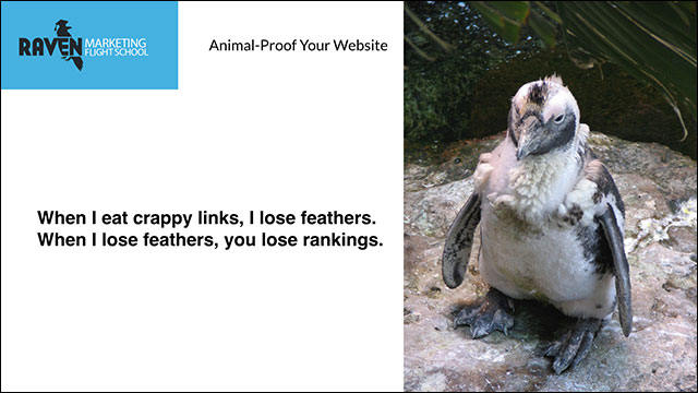Google Penguine Update for Animal proof websites
